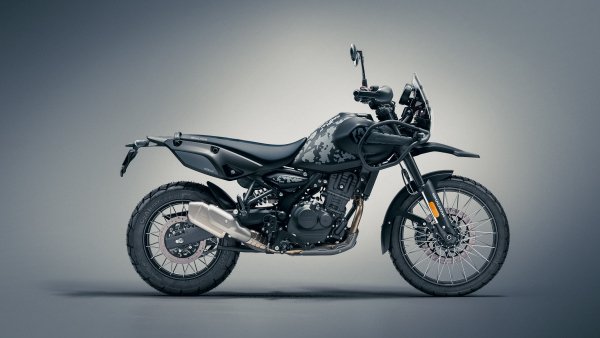 Himalayan-7