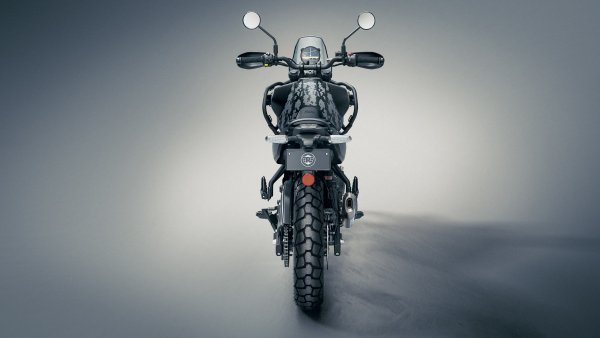 Himalayan-5